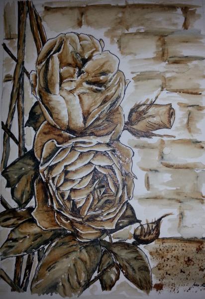 Klick f&uuml;r Originalgr&ouml;&szlig;e :011_2016-01-2316.01.jpg