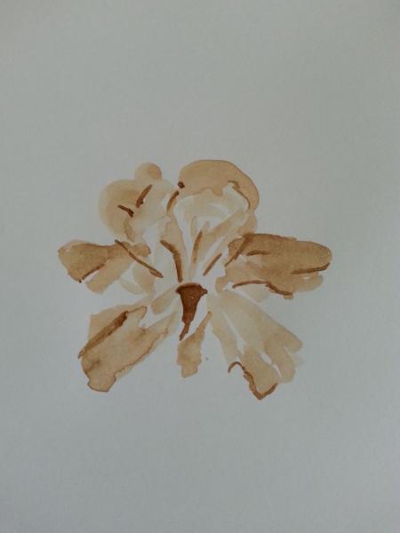 Klick f&uuml;r Originalgr&ouml;&szlig;e :015_2018-03-0812.14.26_b.jpg